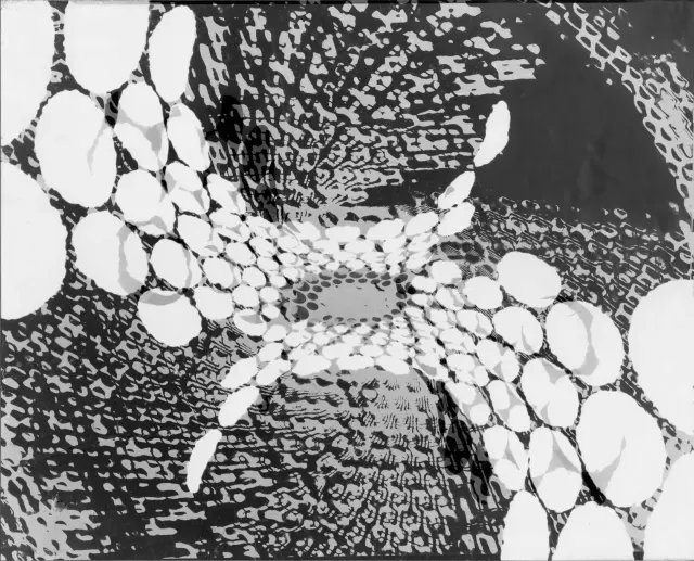 C4 · Nr. 14