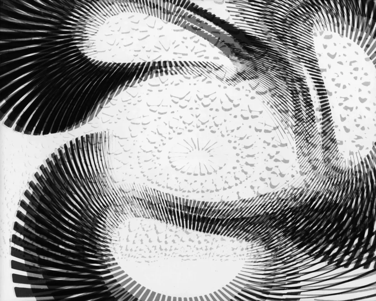 B8 · Nr. 016
