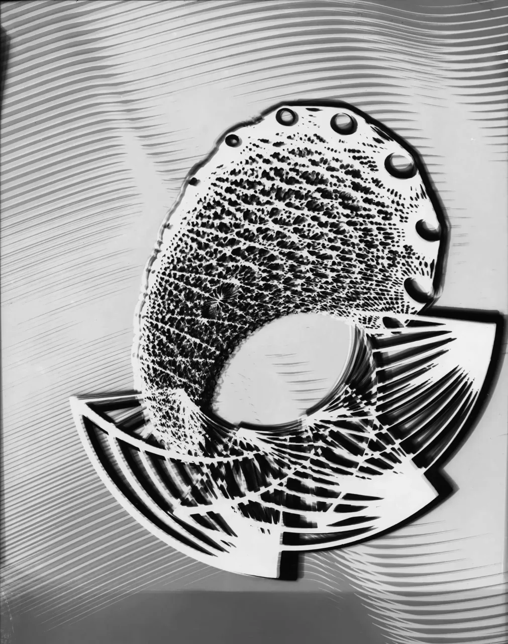 C7 · Nr. 018